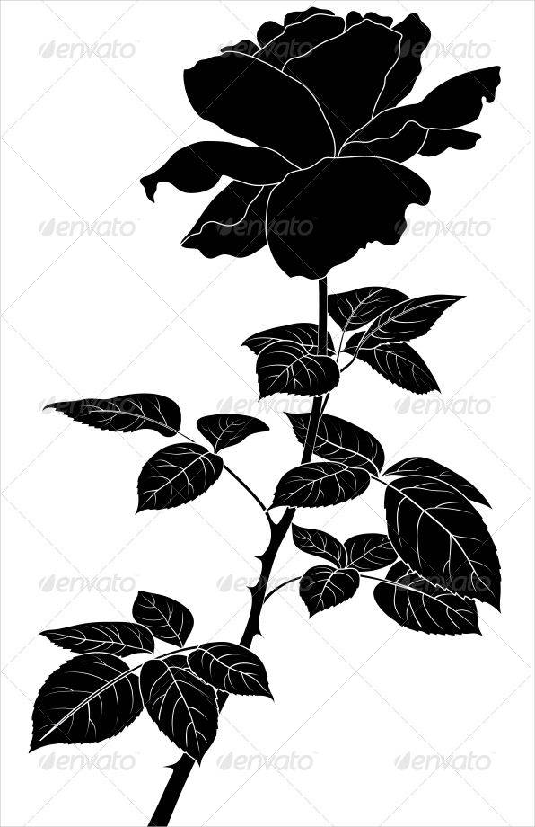 black rose flower silhouette