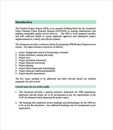 detailed project report format