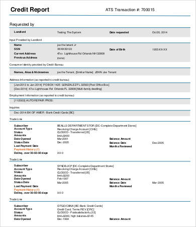 16+ Best Free Credit Report Templates - Free Word, PDF, Docs