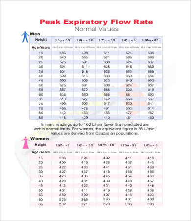 Peak Flow Chart Templates - 7+ Free PDF Documents Download | Free