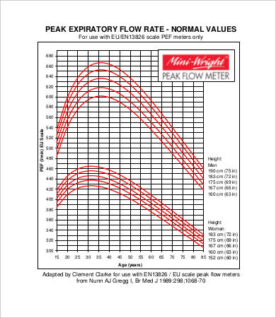 peak expiratory flow chart
