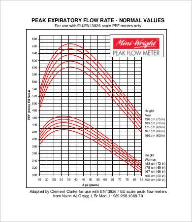 Peak Flow Chart Templates - 11+ Free PDF Documents Download