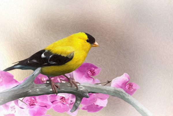 vignette goldfinch painting