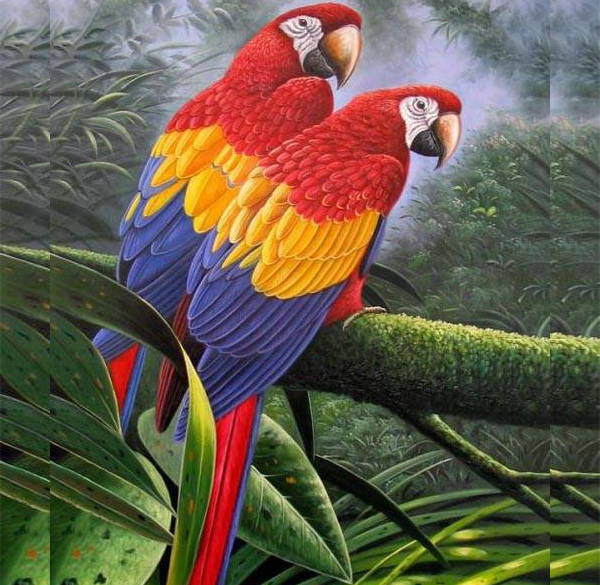 17 Beautiful Bird Paintings