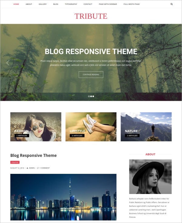responsive-wordpress-theme
