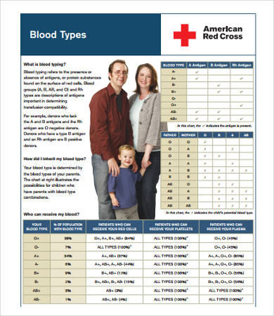 Blood Types Chart 7 Free Pdf Download Documents Free Premium Templates