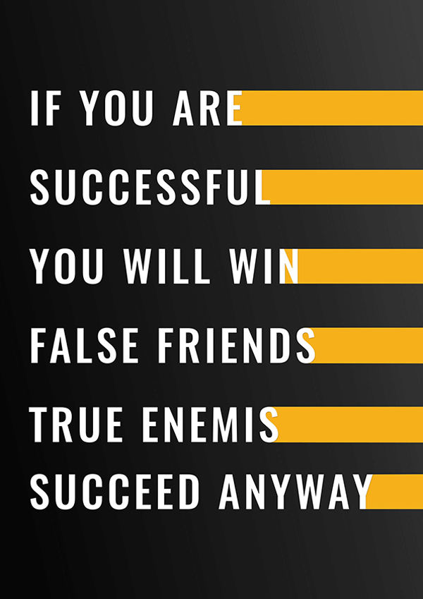 poster of succeed anyway