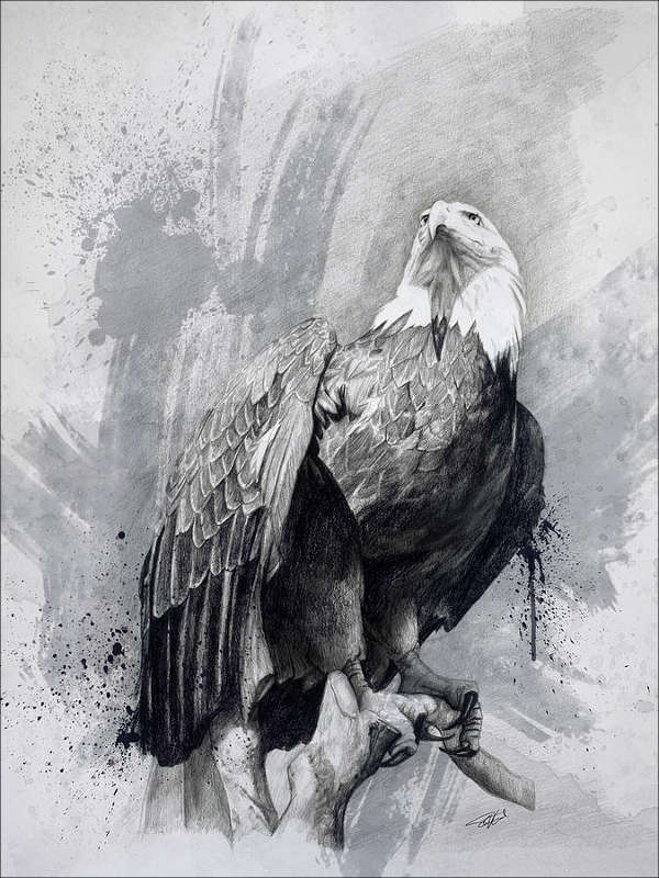 black and white eagle drawing