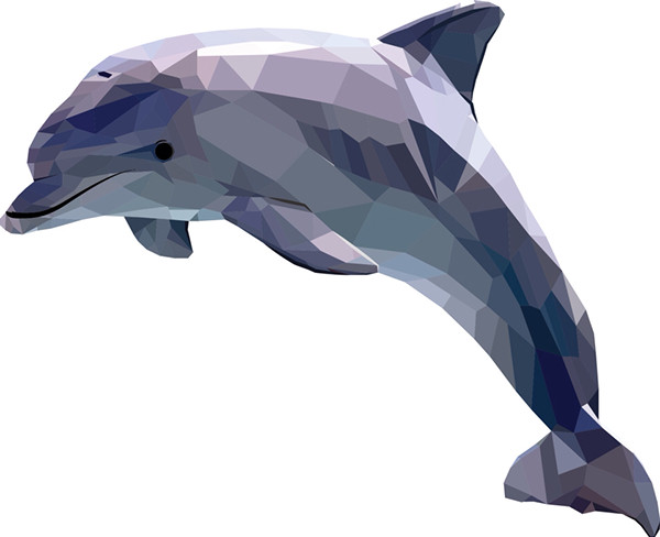 polygonal illustration of dolphin