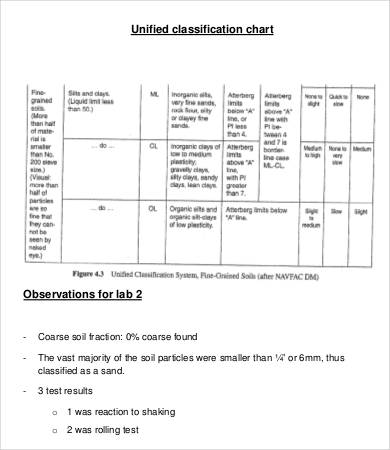 college lab report template