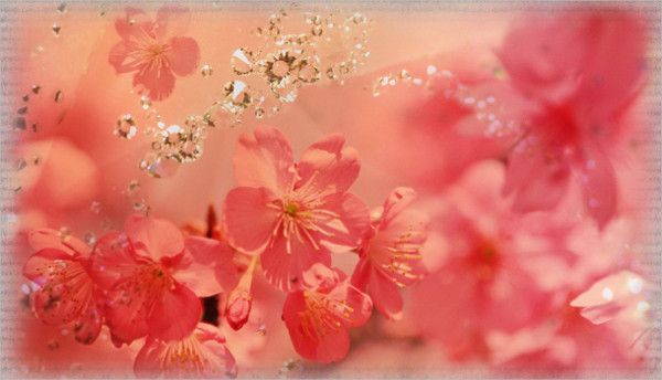 blossom flower template