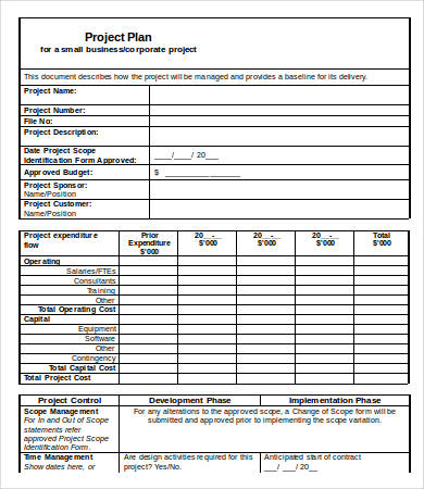 small business project plan template