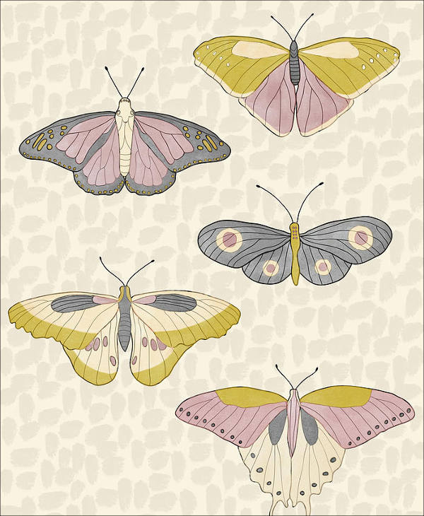 butterfly drawing template