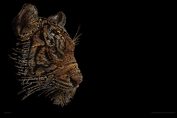 beautiful animal typography art