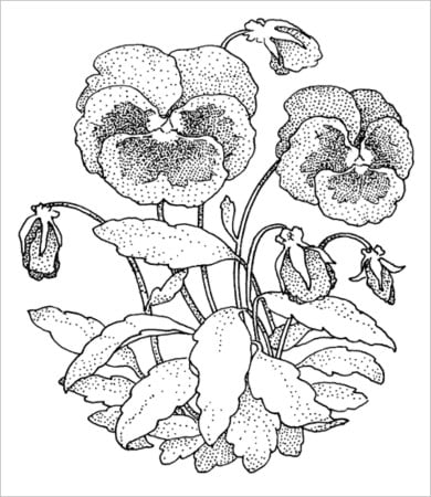 free printable flower coloring pages for adults