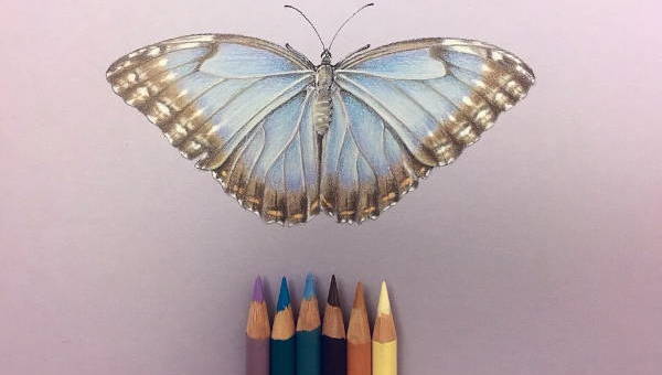 7+ Color Pencil Drawings, Art Ideas | Free & Premium Templates