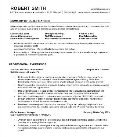 professional experience resume example