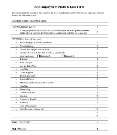 personal profit and loss statement form