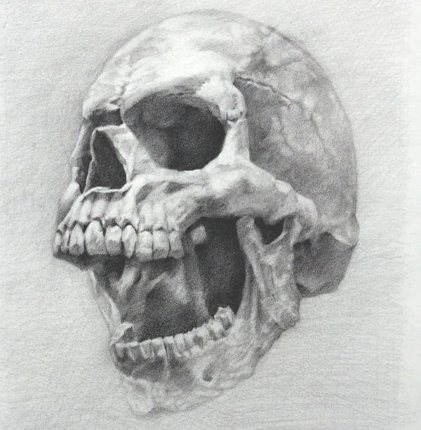 scary skull drawing