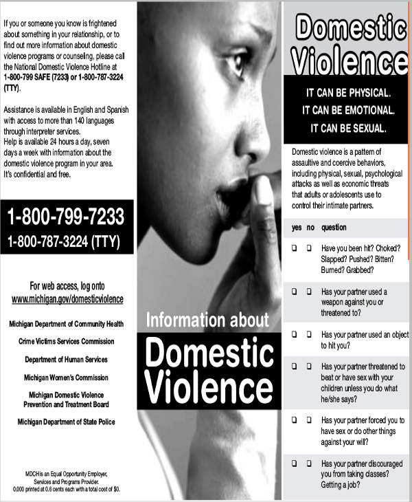 domestic violence program brochure