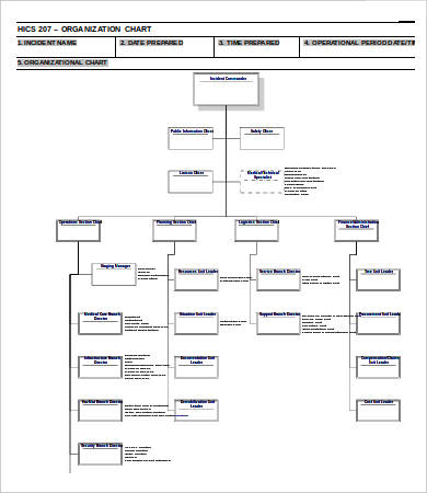 hospital organization chart template