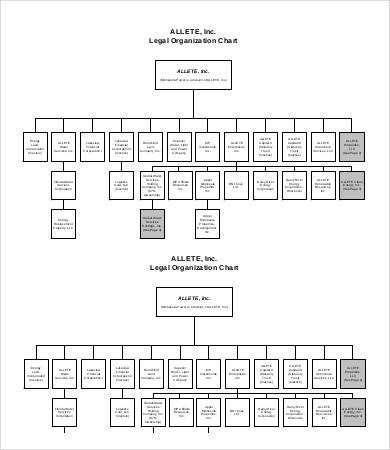 legal organization chart sample