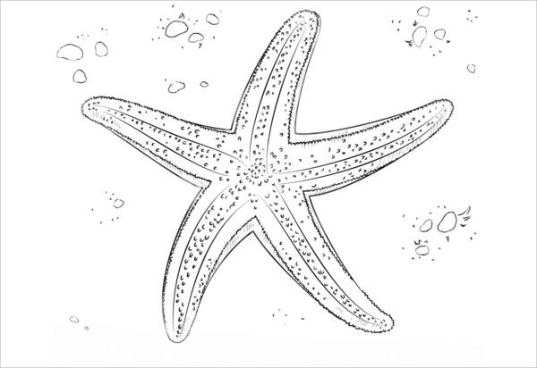 sea star coloring pages