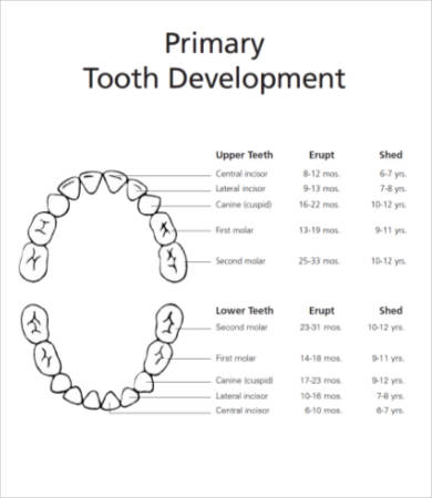 Printable Preschool Worksheet - 16+ Word, PDF Document Download | Free ...