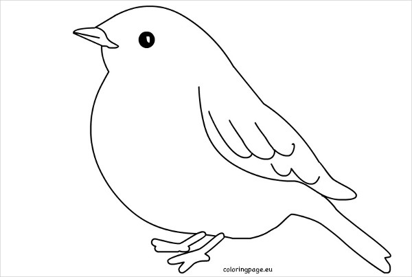 13+ Printable Bird Templates - Free Sample, Example, Format Download