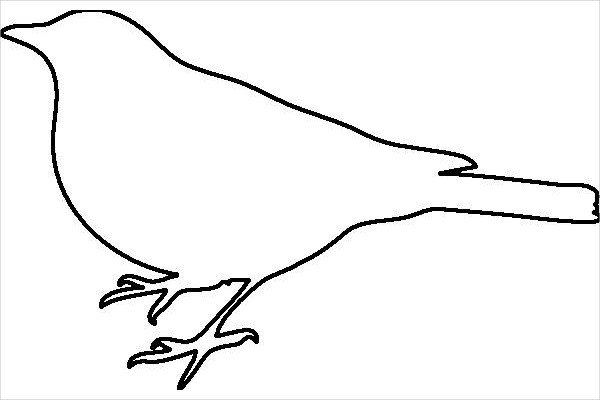 bird outline for craft