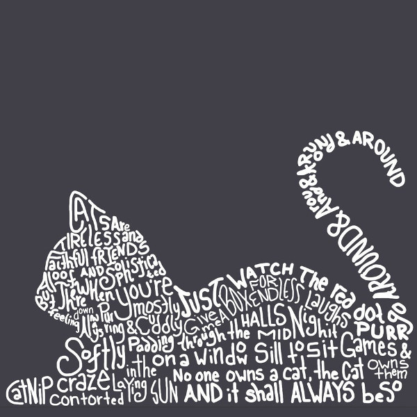 cat typography