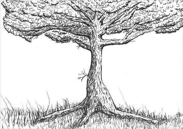 line drawing of tree
