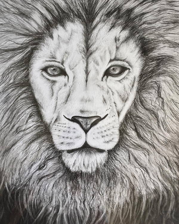 black and white lion art