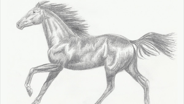 How to Draw an Advanced Horse : 5 Steps - Instructables