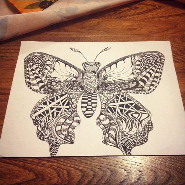 9+ Butterfly Drawings, Art Ideas