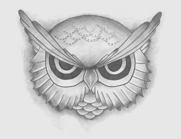 owl face pencil drawing