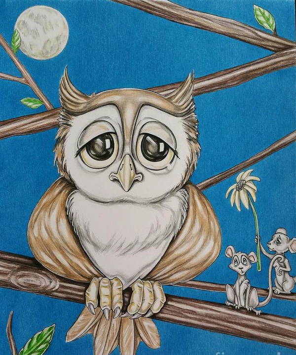 cartoon owl drawing