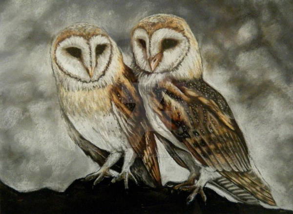 owl pastel drawing