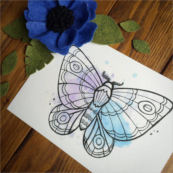 pastel butterfly drawing