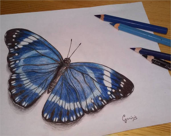 9 Butterfly Drawings Art Ideas Free Premium Templates