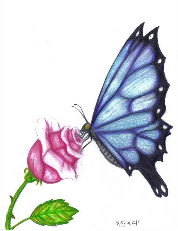 how to draw a butterfly on a flower easy