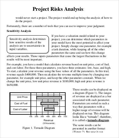 project risk analysis template