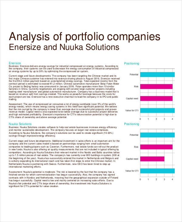 company analysis assignment