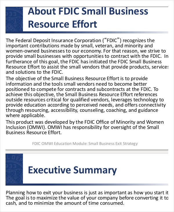 exit strategy example business plan