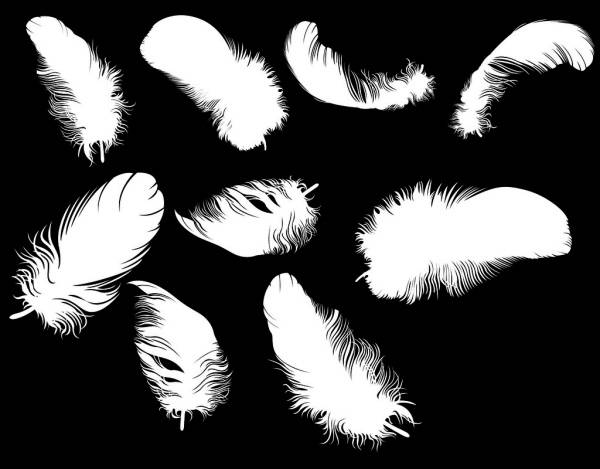 white feather brushes