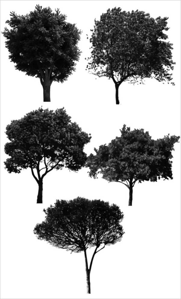 tree brushes photoshop brush forest template templates swirl psd vector