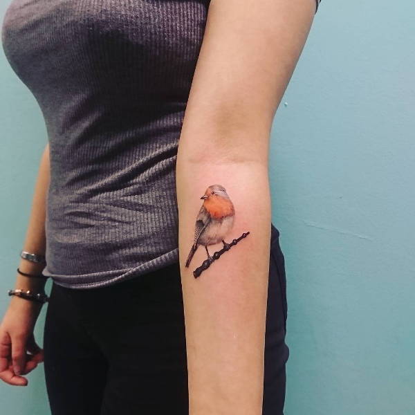 small robin tattooTikTok Search