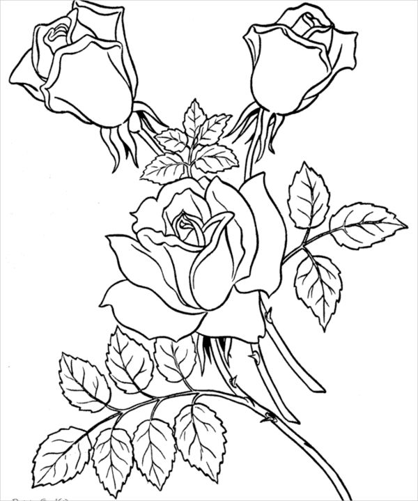 Valentine'S Day Coloring Pages - Free PDF, JPG Format Download