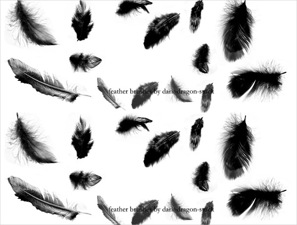 free feather brushes