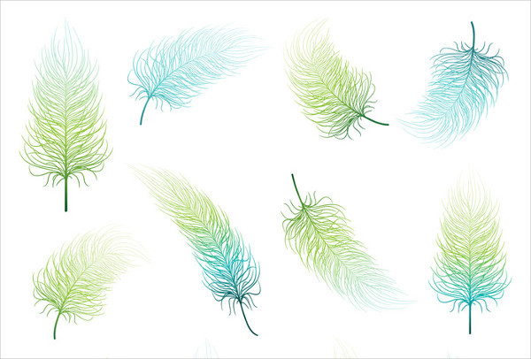 blue green feather psd set